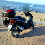 020720081590sj9.jpg