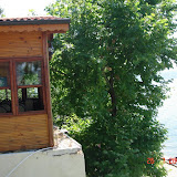 DSC03468.JPG