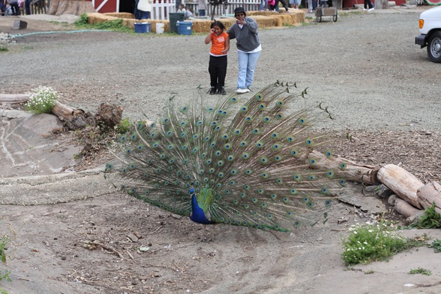 [090611LomaVistaFarm0071[2].jpg]