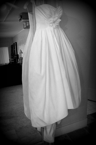 [IMG_7952a[2].jpg]