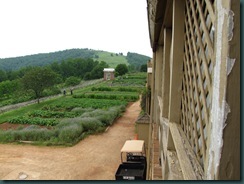 Monticello 036