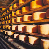 I formaggi di Malga.jpg