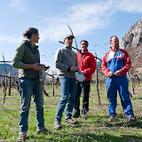 PotaturaEnantio2010-3.jpg