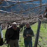 PotaturaEnantio2010-9.jpg