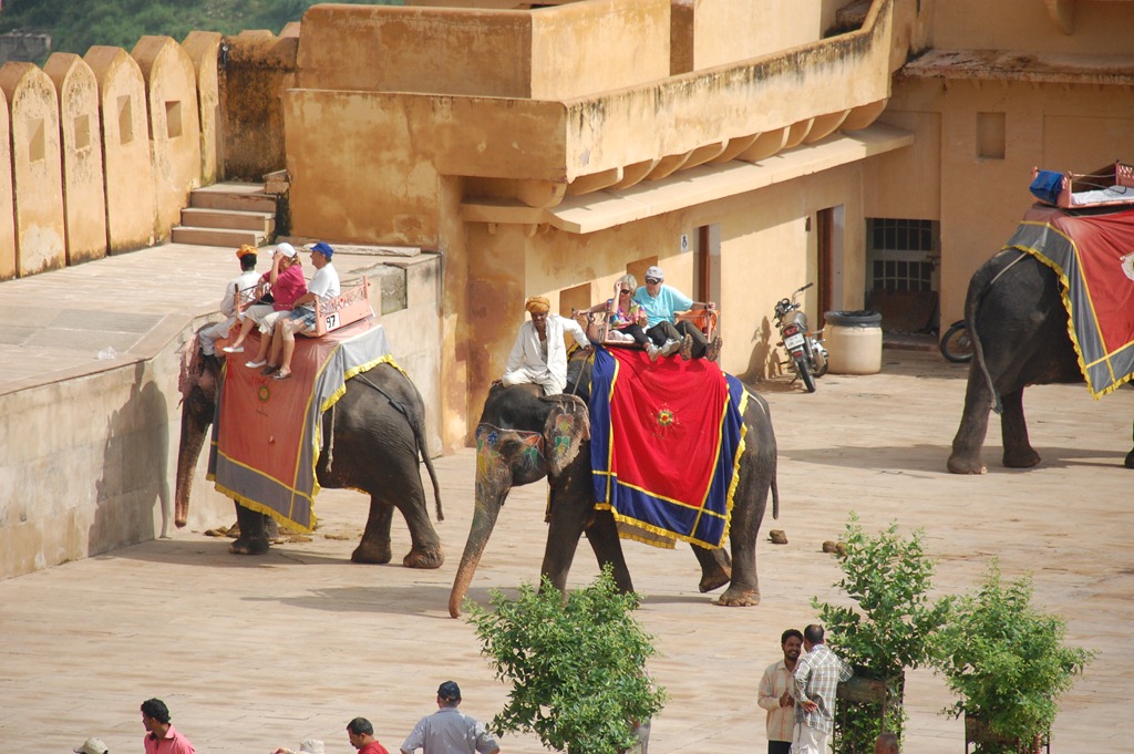 [India 2010 -   Jaipur - Fuerte  Amber , 15 de septiembre   83[4].jpg]