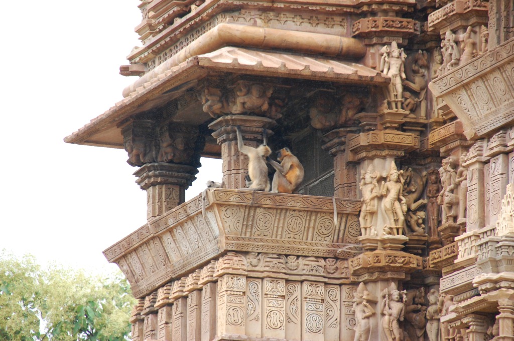[India 2010 -Kahjuraho  , templos ,  19 de septiembre   101[4].jpg]