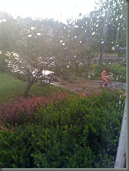 Emily in the rain