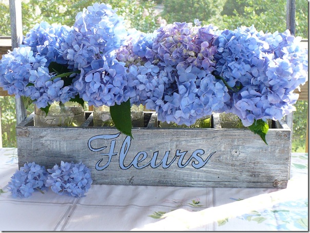 Fleurs Fleurs