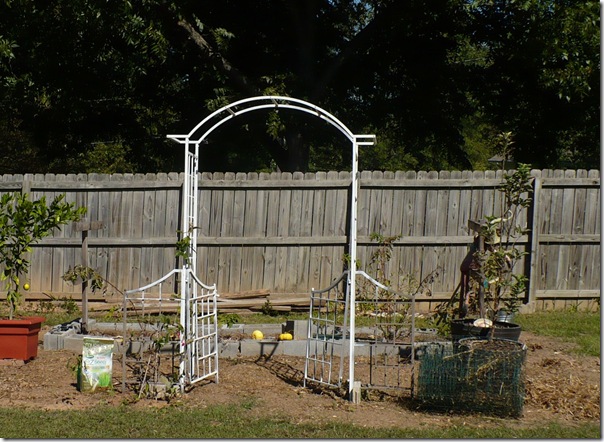 fruitgarden fruitgarden