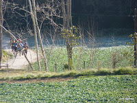 P1000765.JPG