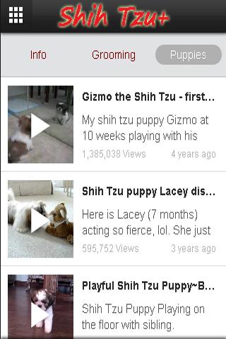 【免費生活App】Shih Tzu+-APP點子