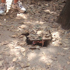 Cu Chi Tunnels