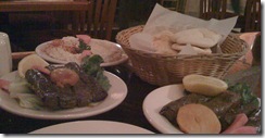 Grape leaves, bread, and hummus.
