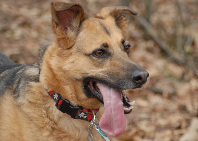 [Tanzy at Hidden Lake 3-24-2007 1-23-02 PM[4].jpg]