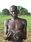 Workman with the 'catch of the day' - edible rats
