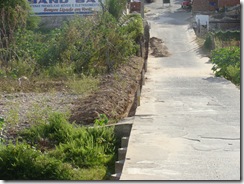 CAGEPA (3)