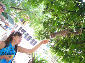 4-22 март 2008. Бкк-Конч-Тао-Самуи-Краби-ПиПи. Фото + Видео