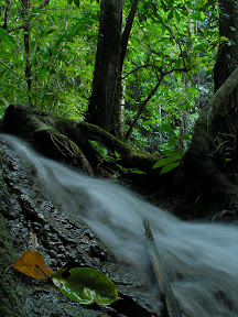 4-22 март 2008. Бкк-Конч-Тао-Самуи-Краби-ПиПи. Фото + Видео