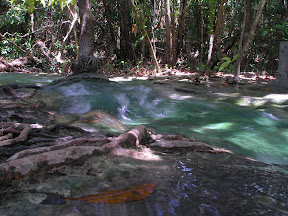 4-22 март 2008. Бкк-Конч-Тао-Самуи-Краби-ПиПи. Фото + Видео