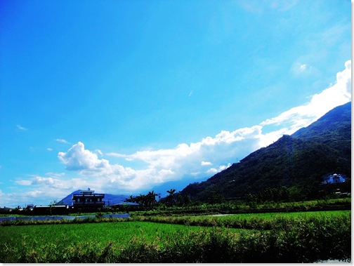 楓林步道3