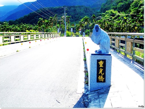 楓林步道16
