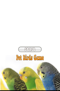 How to download Pet Birds Game 1.0 apk for android