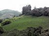 Vendo Hacienda A 30 Minutos De Quito 11 Hectarea