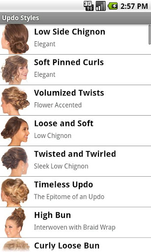 Updo Styles