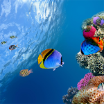 Ocean Aquarium 3D Free LWP Apk