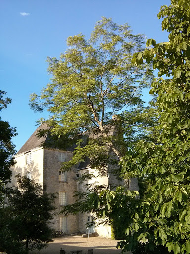 Château De Saché