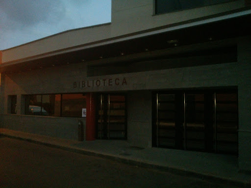 Biblioteca Municipal De Cruce De Arinaga