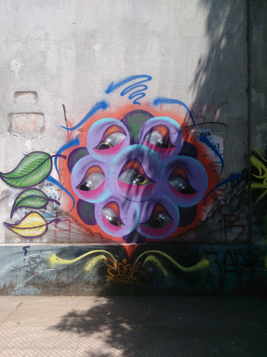 Graffiti Ojos