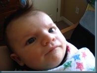 7-8 weeks022