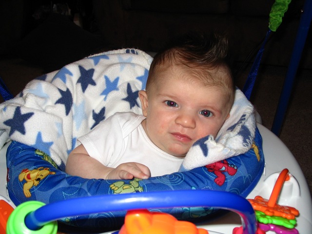 [Jumperoo 6-24001[3].jpg]