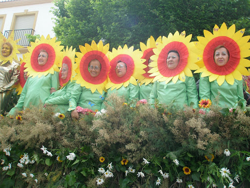 Campo de Girasoles