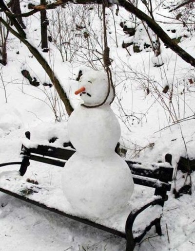 http://lh5.ggpht.com/abramsv/R2ZfYkKUZRI/AAAAAAAABCA/IaNghsrRdw0/s800/suicidal-snowman.jpg