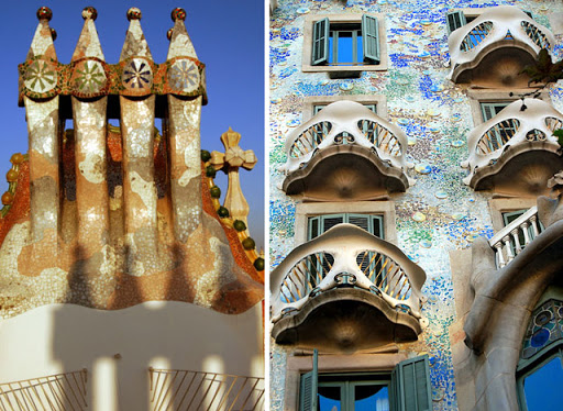 casa batllo. planted from a seed and