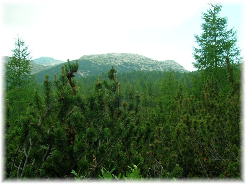 Monte Ortigara