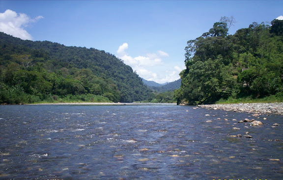 Cauce del Rio Changuinola en la Reserva de la Biósfera La Amistad Panamá Cauce del Rio Changuinola en la Reserva de la Biósfera La Amistad Panamá, provincia de Bocas del Toro