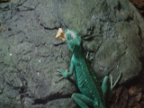 dsc00067.jpg