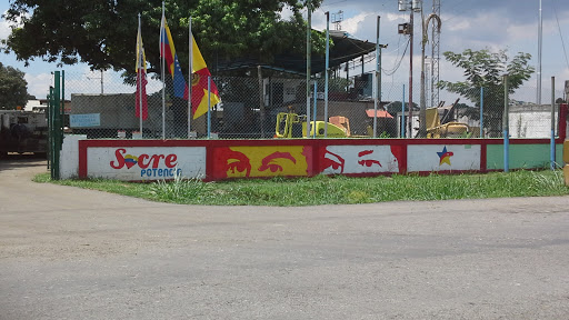 Mural Y Banderas De Sucre En Potencia