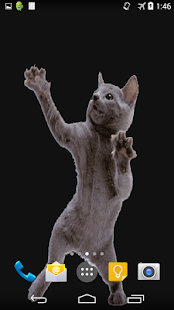 How to download Dancing Cat Live Wallpaper patch 1.0 apk for laptop
