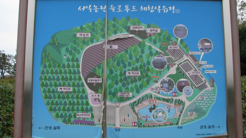 서일농원 안내도 서일농원 안내도