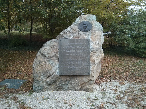Marcel Junod Memorial