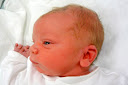 Charlie Alexander Evans