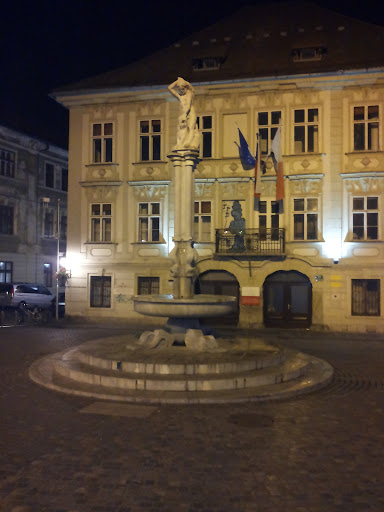 Old Square (Stari Trg)