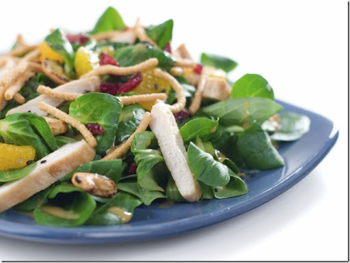 salad_with_chicken[1] (1)