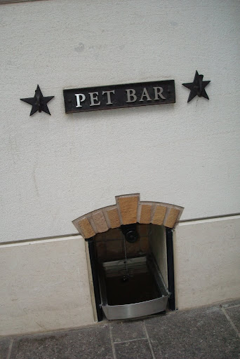 Pet drinking station