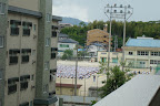 hundreds of school children just outside of Ashley's apartment