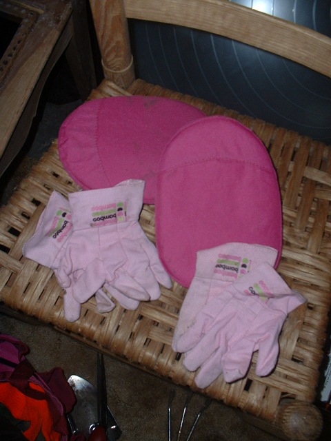 [DSCF0002110.jpg]